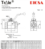 Ball Valve 2 Way NPT, High Pressure, BVS-2-HP/NPT | TTA Hydraulics