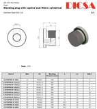 Socket Head Port Plug, Metric Series, VSTI | TTA Hydraulics